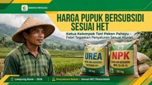 KETUA KELOMPOK TANI FEBRI BERIKAN KLARIFIKASI TERKAIT PENJUALAN PUPUK BERSUBSIDI
Lampung — Ketua kelompok tani, Febri, memberikan klarifikasi kepada media Barata Persada terkait penjualan pupuk bersubsidi yang dilakukan kepada anggota kelompok tani.
Febri menjelaskan bahwa pupuk bersubsidi tersebut dijual sesuai dengan Harga Eceran Tertinggi (HET) yang telah ditetapkan. Adapun apabila terdapat biaya tambahan dalam proses penyaluran, menurut Febri, biaya tersebut diperuntukkan bagi kebutuhan pengangkutan, termasuk biaya muat dan bongkar serta transportasi dari lokasi pengambilan hingga sampai kepada kelompok tani.
“Penjualan pupuk bersubsidi tetap mengacu pada HET. Kalau ada kelebihan biaya, itu untuk biaya pengangkutan, muat dan bongkar. Hal tersebut juga sudah disepakati bersama oleh kelompok,” jelas Febri kepada Barata Persada.
Febri menegaskan bahwa biaya tersebut berkaitan dengan proses distribusi pupuk kepada anggota kelompok dan bukan dimaksudkan sebagai tambahan harga pupuk di luar ketentuan.
Menurutnya, kesepakatan mengenai biaya pengangkutan tersebut telah dibicarakan bersama anggota kelompok tani agar proses pengambilan dan pendistribusian pupuk dapat berjalan dengan baik.
Febri berharap klarifikasi tersebut dapat memberikan informasi yang utuh kepada masyarakat mengenai mekanisme penyaluran pupuk bersubsidi di tingkat kelompok tani.
Media Barata Persada Berita • Informasi • Klarifikasi