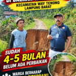 Jalan Putus di Tanjung Raya 4–5 Bulan Belum Diperbaiki, Warga Berharap Segera Ditangani LAMPUNG BARAT — Kondisi jalan yang mengalami putus di wilayah Tanjung Raya, Kecamatan Way Tenong, Kabupaten Lampung Barat, hingga kini disebut belum mendapatkan perbaikan. Kerusakan tersebut telah berlangsung sekitar 4–5 bulan dan menjadi perhatian warga sekitar. Media Barata Persada melakukan pengecekan langsung ke lokasi dan menemui sejumlah warga untuk mengetahui kondisi terkini serta dampak yang dirasakan masyarakat akibat jalan yang terputus tersebut. Dari hasil pantauan di lapangan, kondisi jalan yang terputus membuat akses masyarakat menjadi terganggu. Warga berharap adanya perhatian dan langkah cepat dari pemerintah maupun instansi terkait agar kondisi jalan tersebut segera ditangani. Warga menilai perbaikan akses jalan penting dilakukan karena jalan tersebut menjadi salah satu jalur yang digunakan masyarakat dalam menjalankan aktivitas sehari-hari. “Kami berharap jalan ini segera diperbaiki karena sudah cukup lama kondisinya seperti ini. Kami ingin ada perhatian dari pihak terkait,” ujar salah seorang warga saat ditemui di lokasi. Masyarakat berharap pemerintah dapat segera melakukan pengecekan teknis dan menentukan langkah penanganan, sehingga akses warga dapat kembali normal dan tidak menimbulkan risiko bagi pengguna jalan. Media Barata Persada akan terus memantau perkembangan kondisi jalan tersebut dan menantikan tindak lanjut dari pihak terkait.